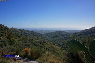 stello Calatabiano-12-03-2014 20-07-47